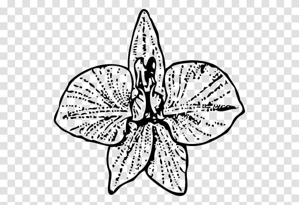 Larkspur Flower Tattoo, Plant, Blossom, Petal, Rug Transparent Png