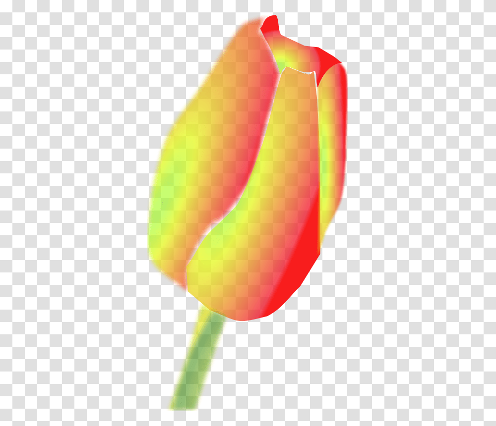 Larsen Tulip Flower, Nature, Plant, Food, Balloon Transparent Png