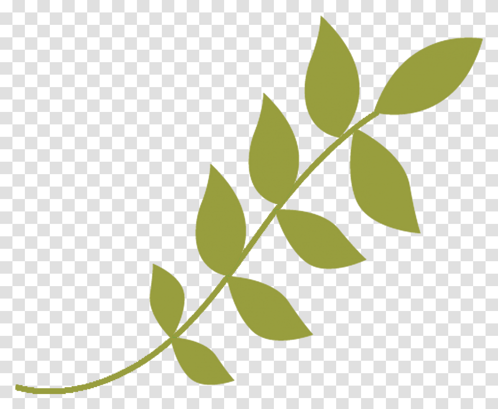 Las 4 Primeras Clases Son Una Ventana Para Conocer, Green, Leaf, Plant, Stencil Transparent Png