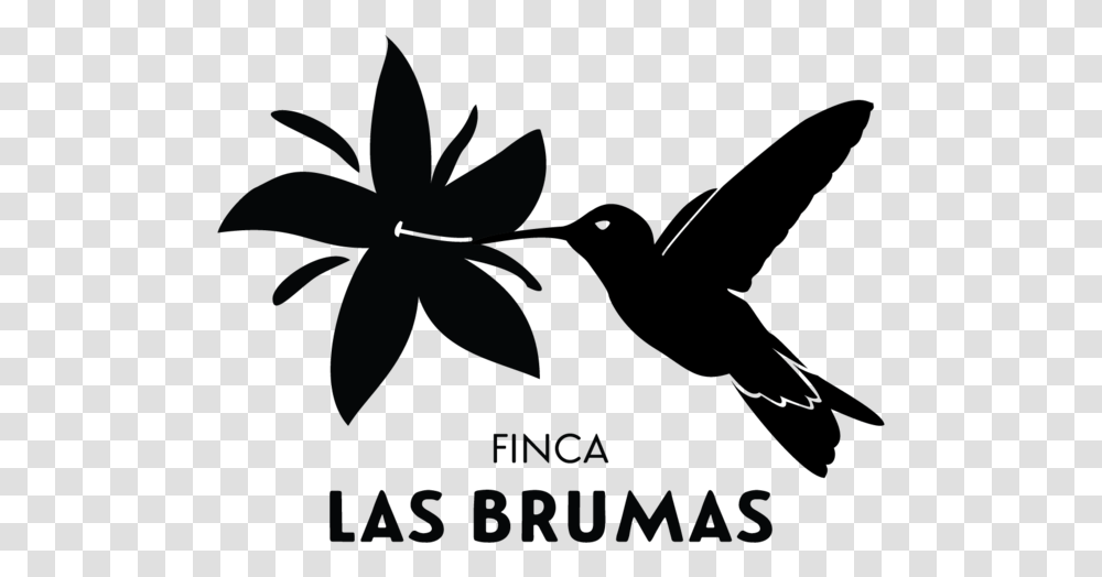 Las Brumas Black Only Logo Final, Plant, Flower, Blossom, Outdoors Transparent Png
