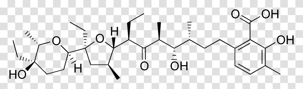 Lasalocid Structure Malic Acid Optical Isomers, Number, Pattern Transparent Png