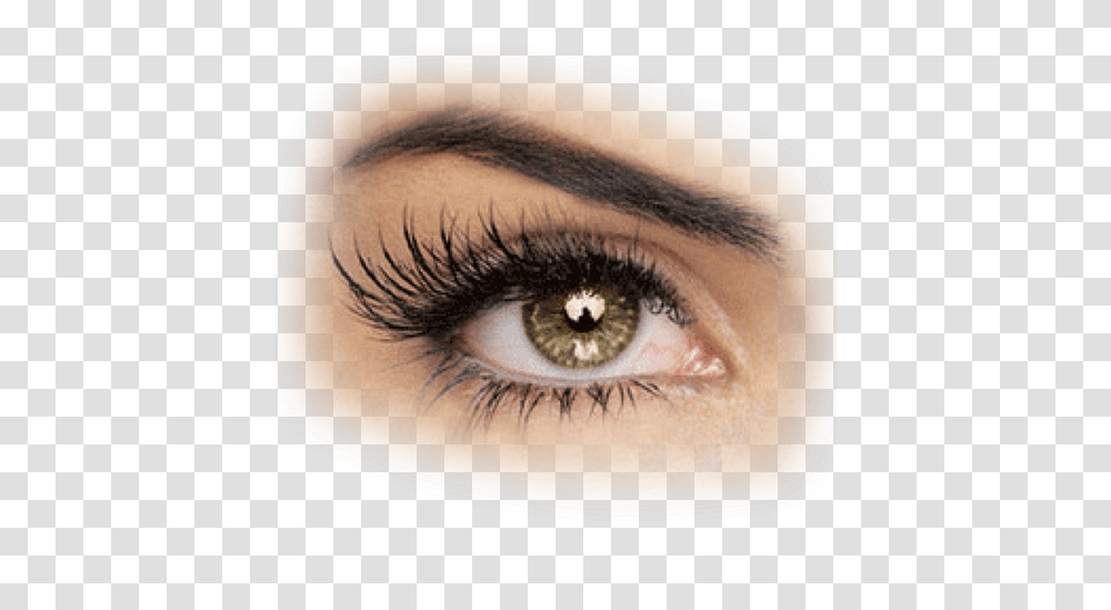 Lash Extensions Cat Eyes, Contact Lens, Skin, Tattoo, Person Transparent Png