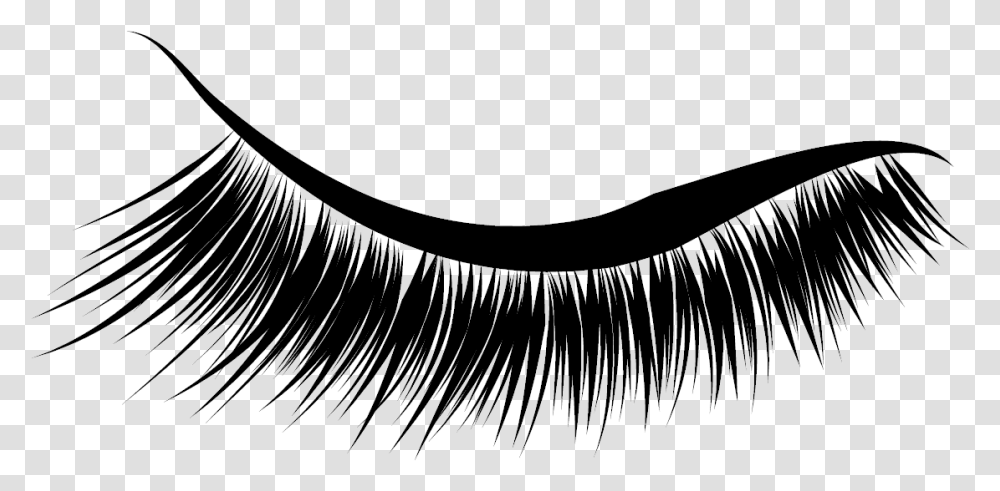 Lashes Images Eyelash Extensions, Face, Outdoors, Photography, Brush Transparent Png