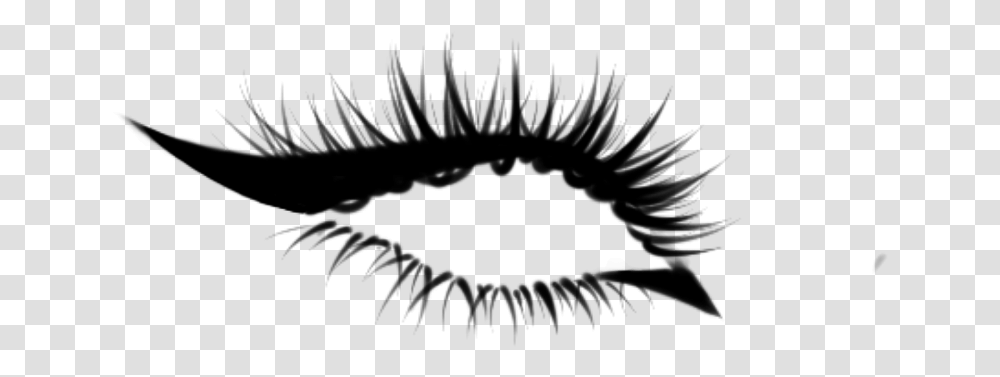 Lashes Procreate, Gray, World Of Warcraft Transparent Png