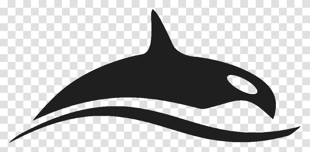 Lasso Clipart Black Orca Images High Resolution Bmp, Sea Life, Animal, Mammal, Killer Whale Transparent Png