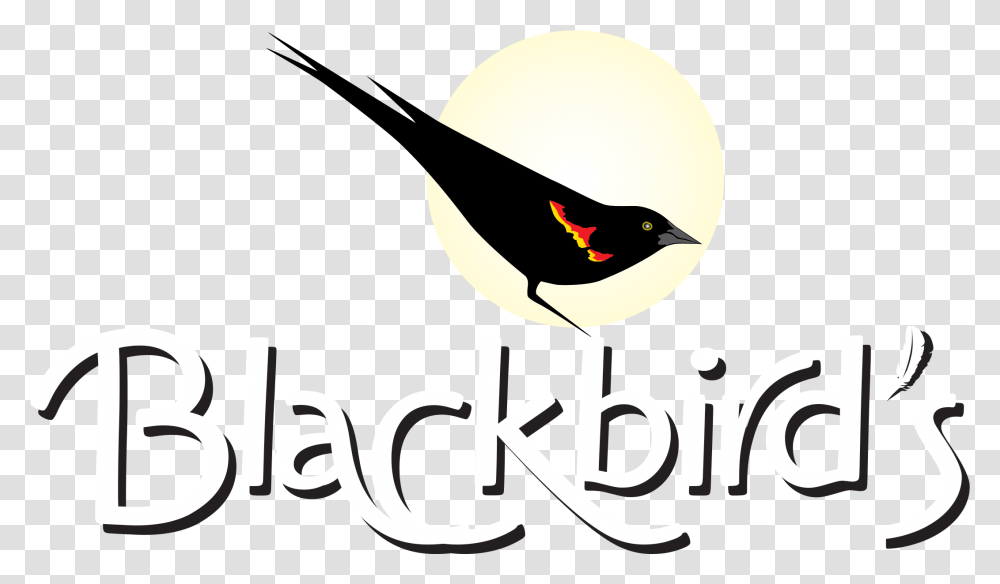 Last Call, Blackbird, Animal, Agelaius Transparent Png