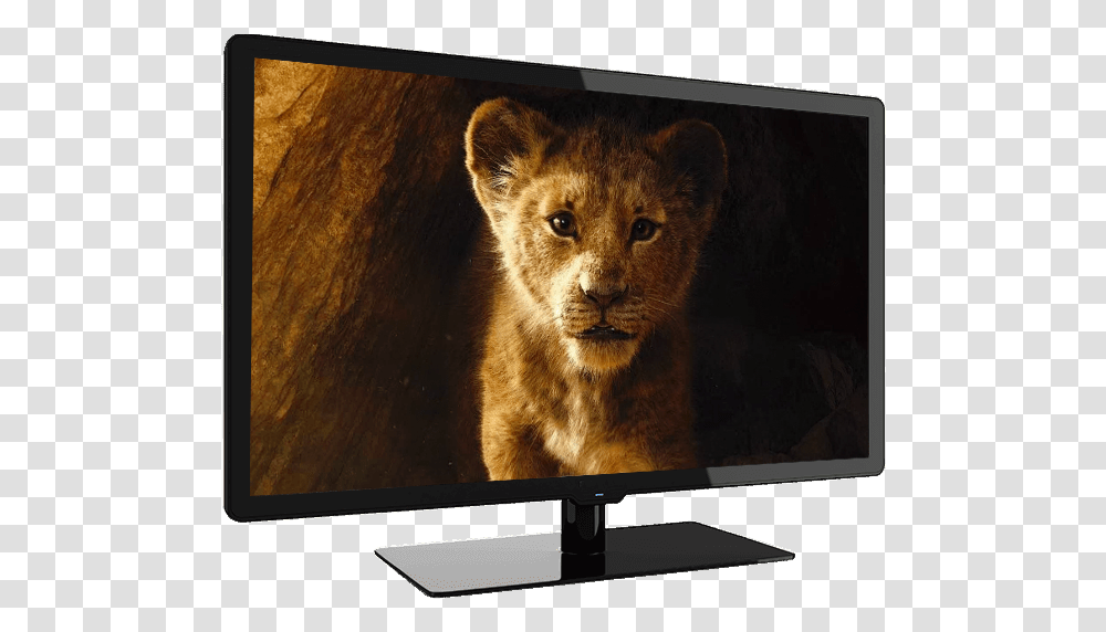 Latest Animated Movies 2019, Monitor, Screen, Electronics, Display Transparent Png