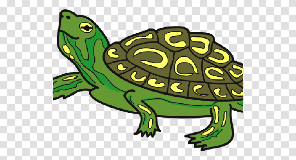 Latest Cliparts, Animal, Reptile, Amphibian, Wildlife Transparent Png