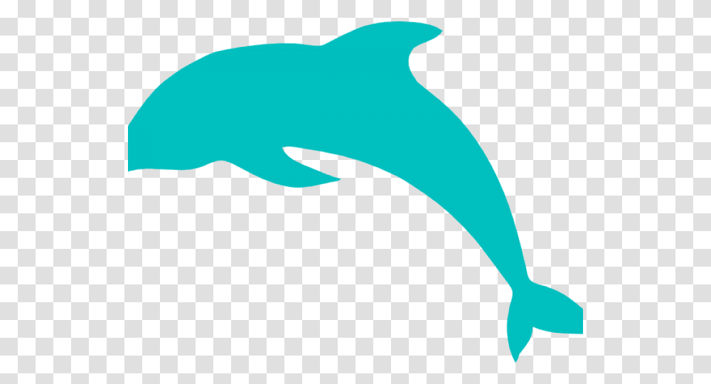 Latest Cliparts, Dolphin, Mammal, Sea Life, Animal Transparent Png