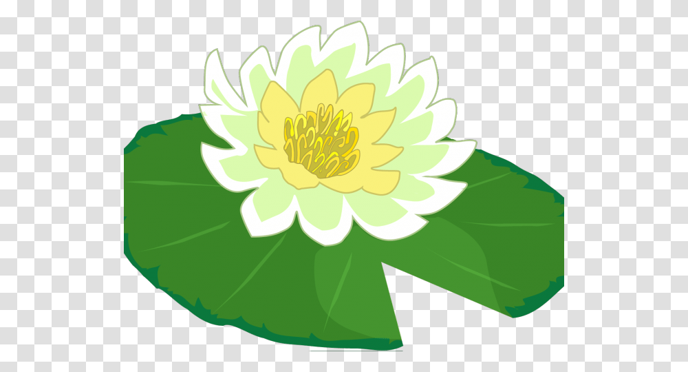 Latest Cliparts, Plant, Flower, Blossom, Lily Transparent Png