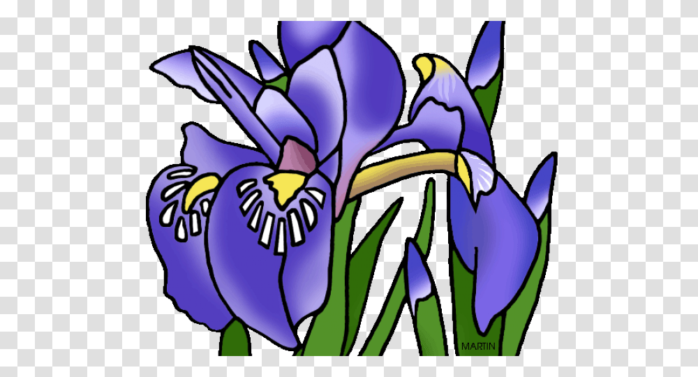 Latest Cliparts, Plant, Flower, Iris Transparent Png