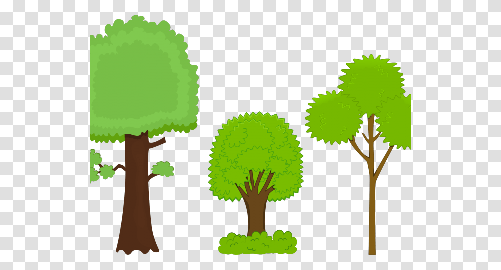 Latest Cliparts, Plant, Tree, Green, Palm Tree Transparent Png