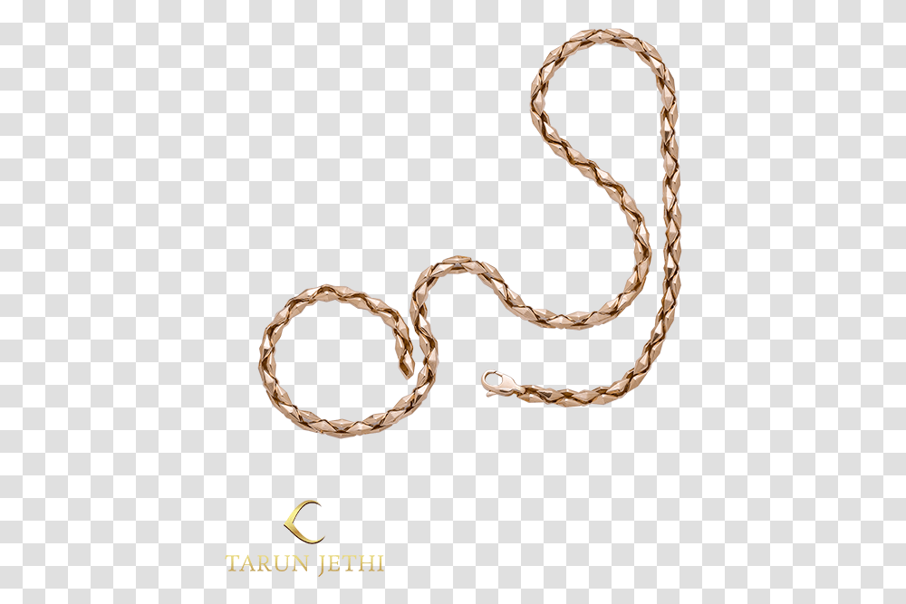 Latest Gold Bracelet Sets Design Collection Chain, Snake, Reptile, Animal, Rope Transparent Png