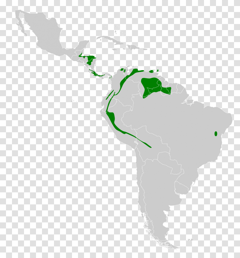 Latin America Map Svg, Nature, Outdoors, Plot, Diagram Transparent Png