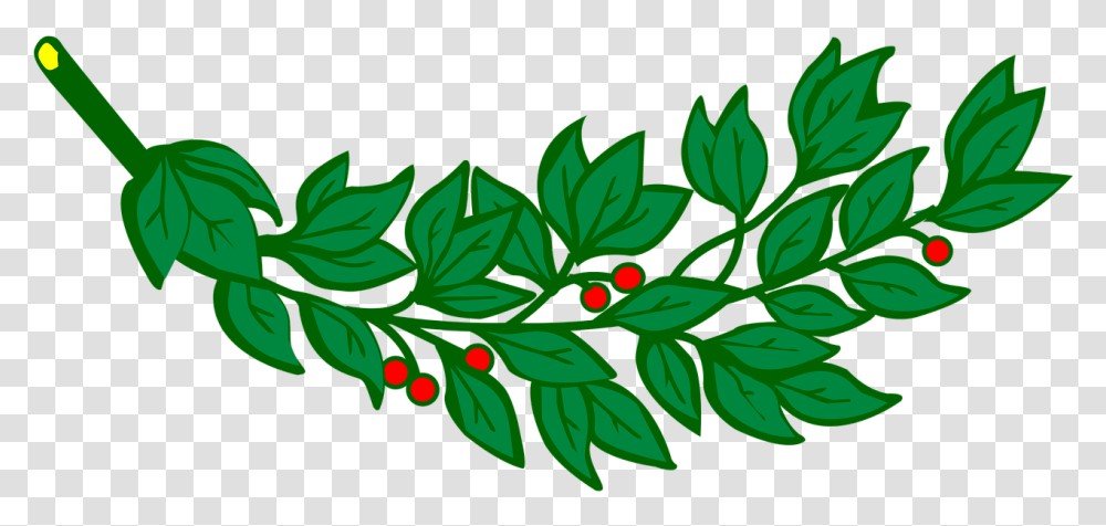 Laurel Branch Laurel Leaves With Red Fruits Clipart, Leaf, Plant, Green, Floral Design Transparent Png