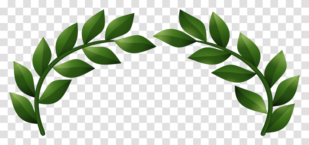Laurel Clipart Leaves, Leaf, Plant, Green, Vase Transparent Png