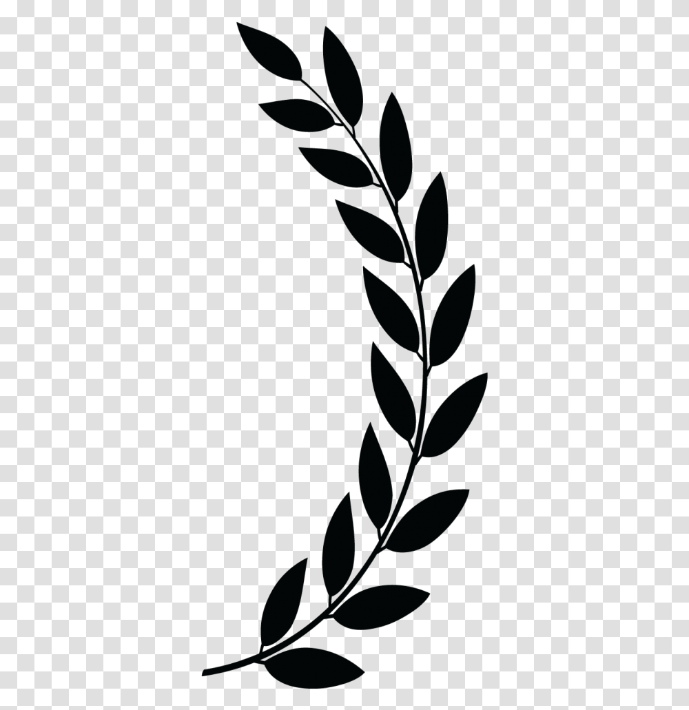 Laurels, Leaf, Plant, Flower, Blossom Transparent Png