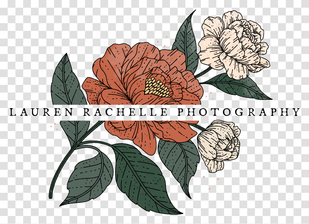Lauren Rachelle Wedding Photography Illustration, Leaf, Plant, Pattern, Person Transparent Png