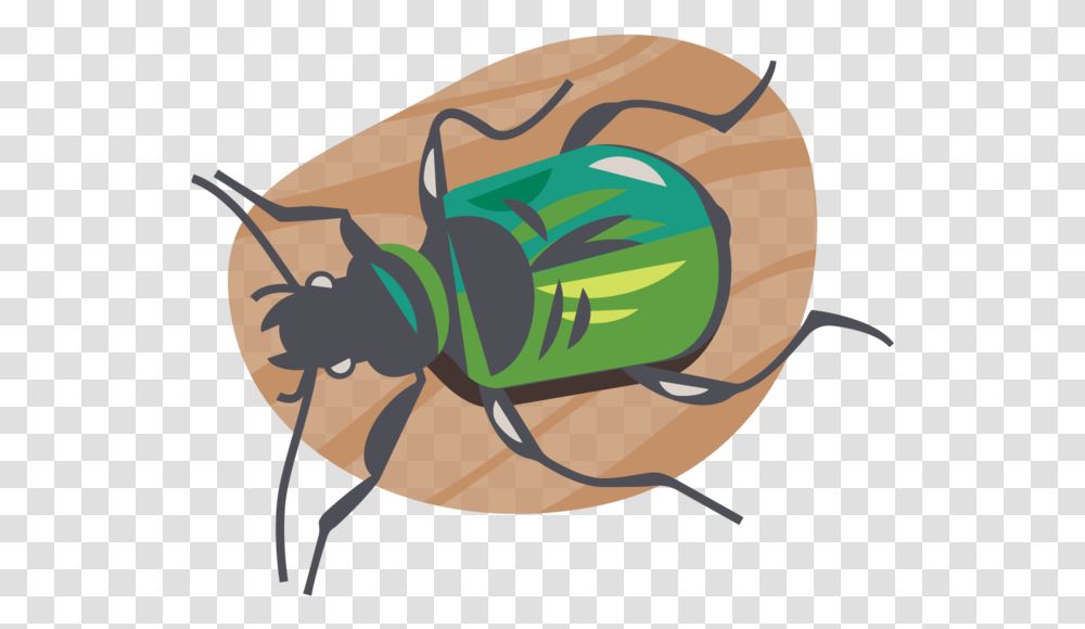 Laurenbeltramo Citizenscienceicons Carabidbeetle Net Winged Insects, Invertebrate, Animal, Wasp Transparent Png