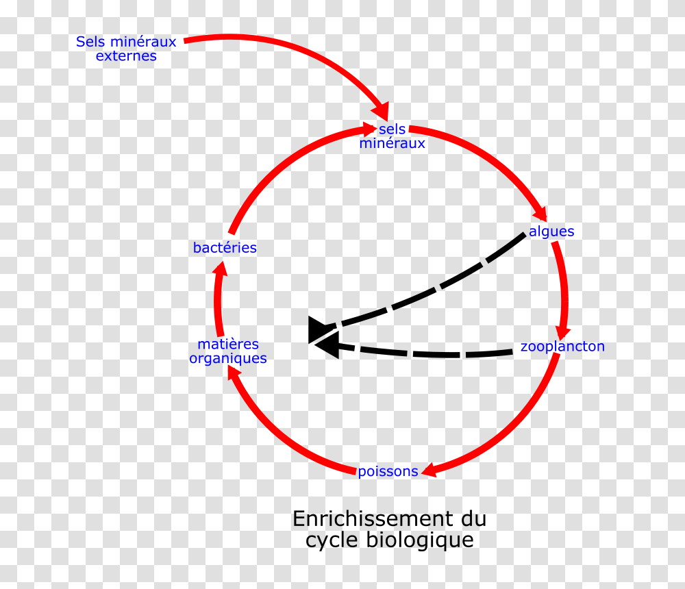 Laurent Eutrophisation Cycle, Technology, Bow, Nature, Outdoors Transparent Png