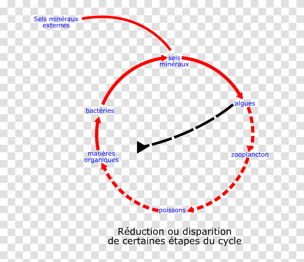 Laurent Eutrophisation Cycle, Technology, Bow, Outdoors, Nature Transparent Png
