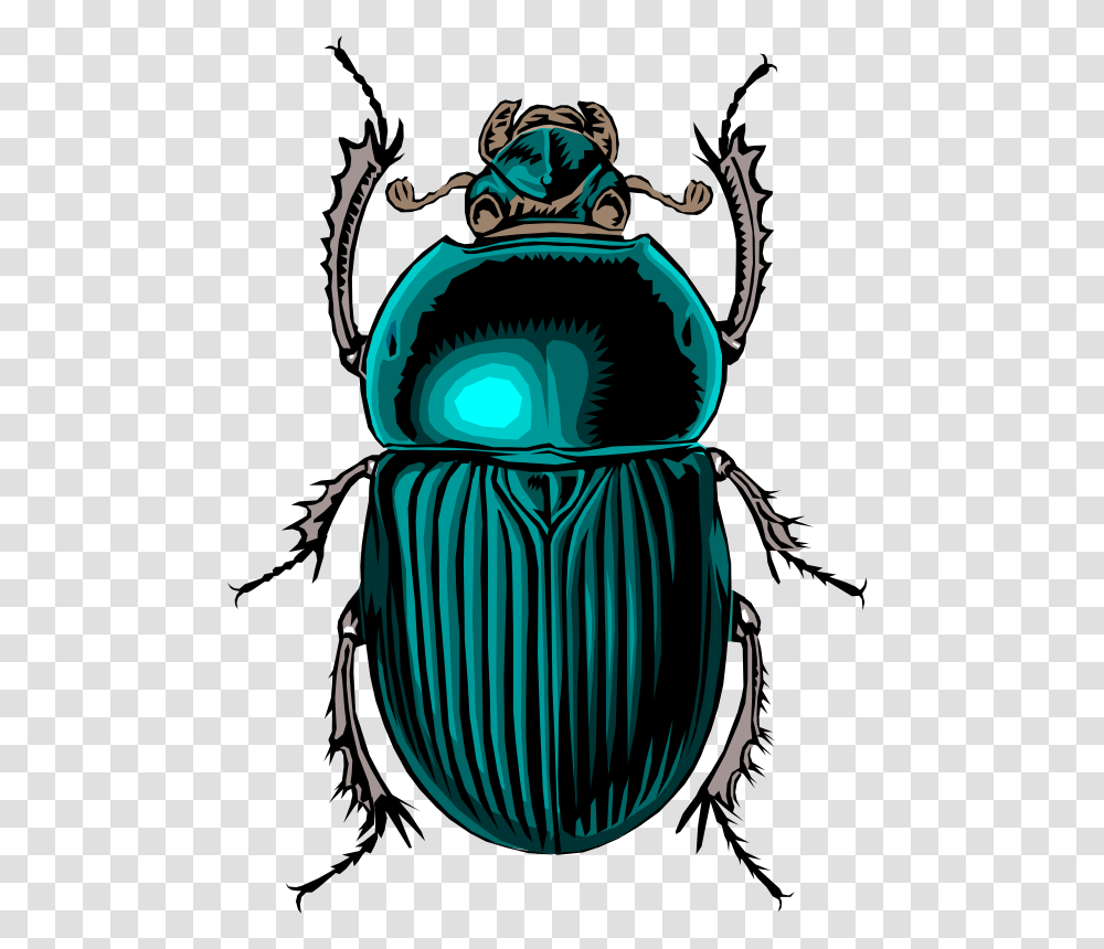 Laurent Scarabe, Animals, Dung Beetle, Insect, Invertebrate Transparent Png
