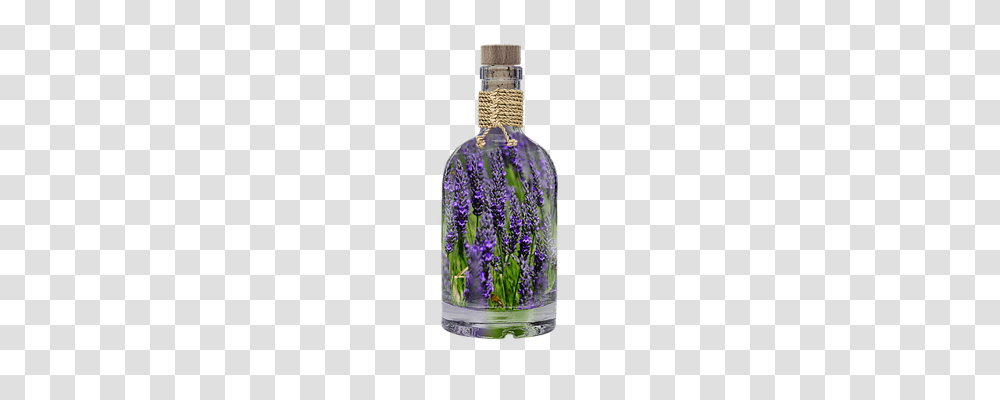 Lavender Nature, Plant, Bottle, Flower Transparent Png
