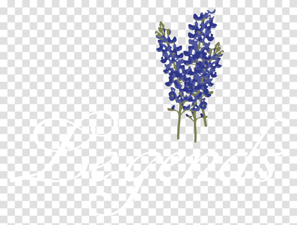 Lavender Body Jewellery Line Font Bluebonnet Flower Bluebonnet, Plant, Blossom, Pollen Transparent Png