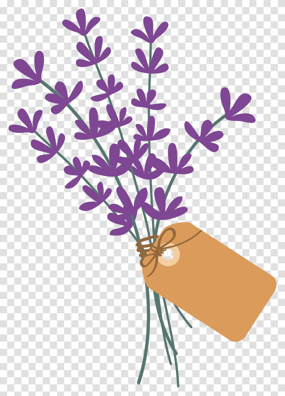 Lavender Bunch Folklore Flower, Plant, Blossom Transparent Png