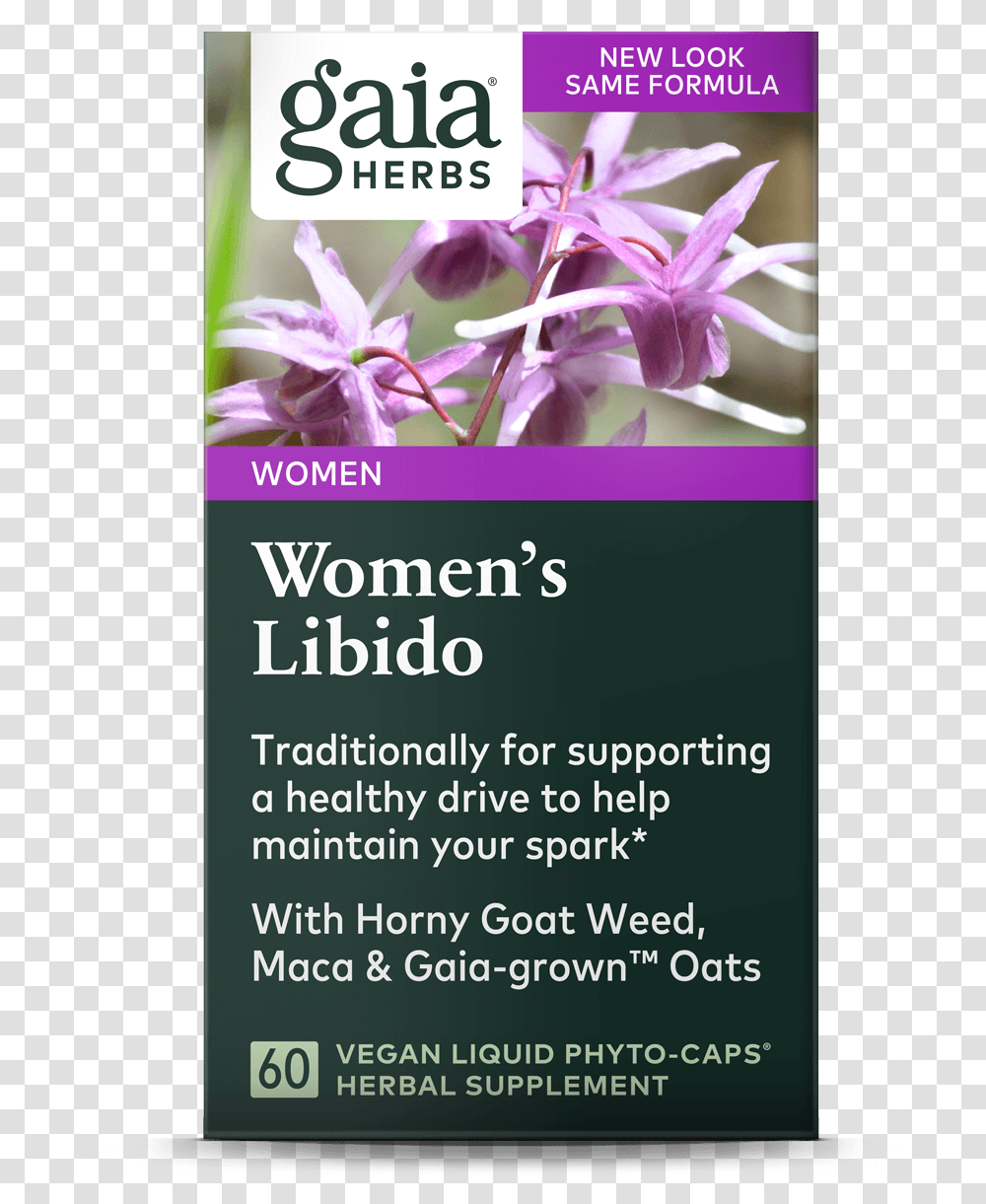 Lavender Bush Gaia Herbs, Advertisement, Poster, Plant, Flyer Transparent Png