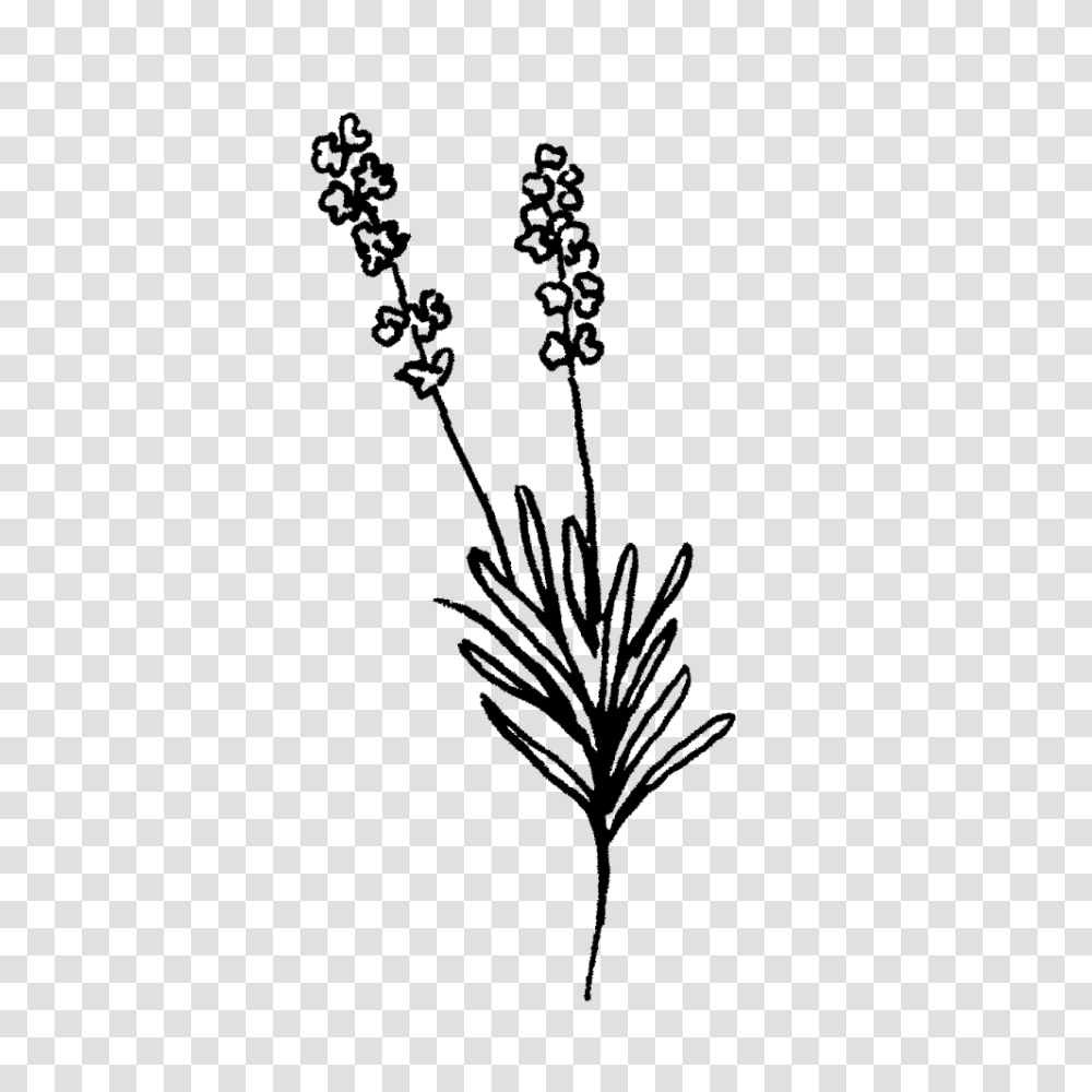 Lavender Clipart Black And White, Gray, World Of Warcraft Transparent Png