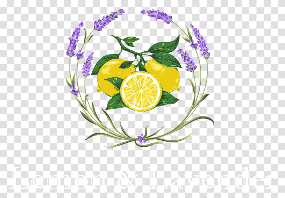 Lavender Clipart Lemon Drawing, Plant, Citrus Fruit, Food, Vase Transparent Png