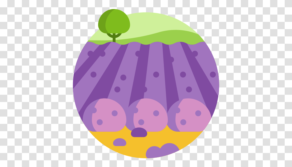 Lavender Field Icon, Plant, Food, Jelly, Rug Transparent Png