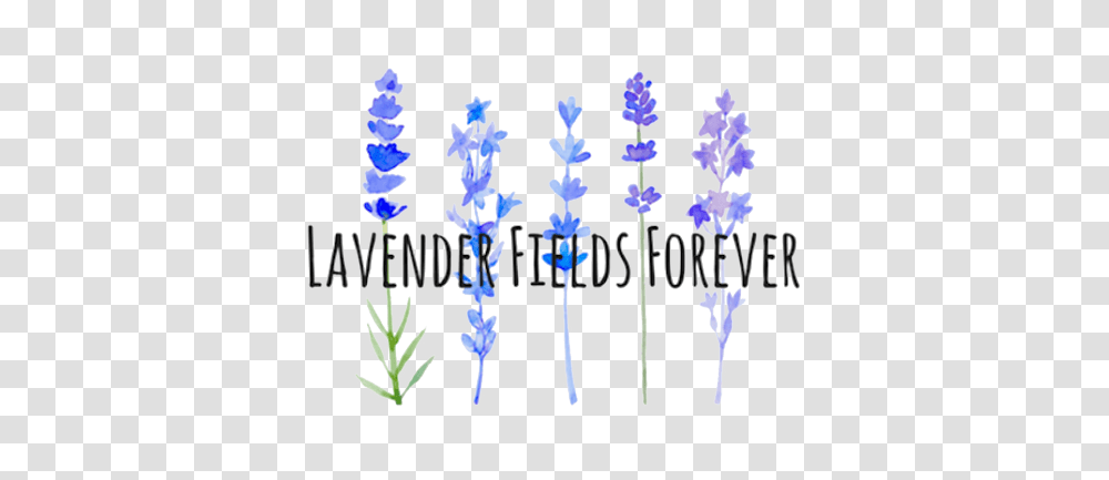 Lavender Fields Forever Watercolor Painting, Symbol, Tree, Plant, Glass Transparent Png