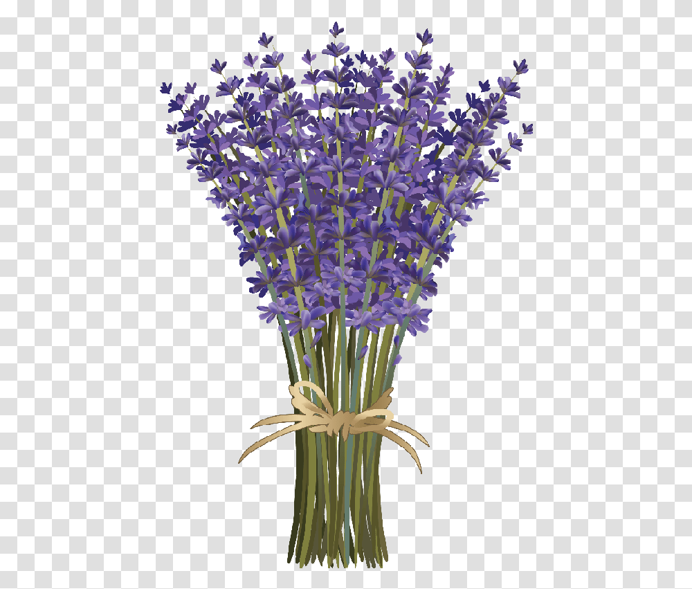 Lavender Flower Bouquet Laminas De Flores De Lavanda, Plant, Blossom, Flower Arrangement, Iris Transparent Png