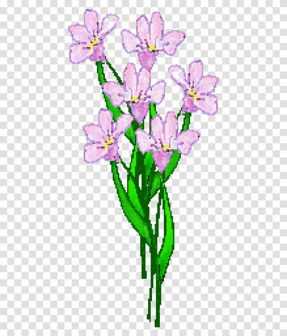 Lavender Flower Clip Art Lily, Plant, Blossom, Cross Transparent Png