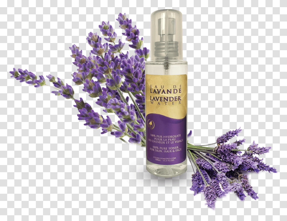 Lavender Flower English Lavender, Plant, Bottle, Blossom, Cosmetics Transparent Png