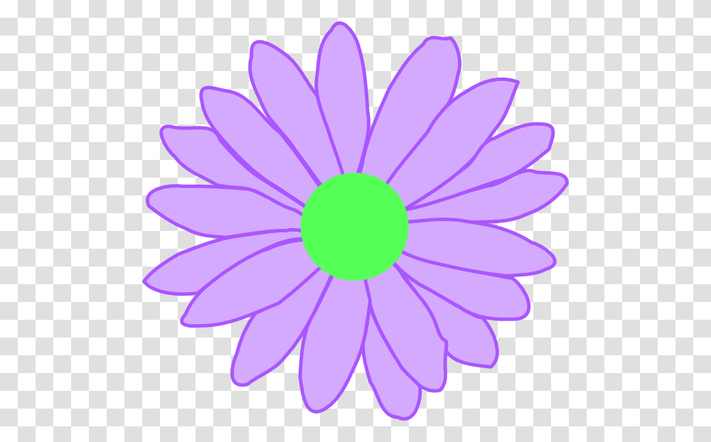 Lavender Flower Pink Daisy Flower Clipart, Plant, Daisies, Blossom, Aster Transparent Png