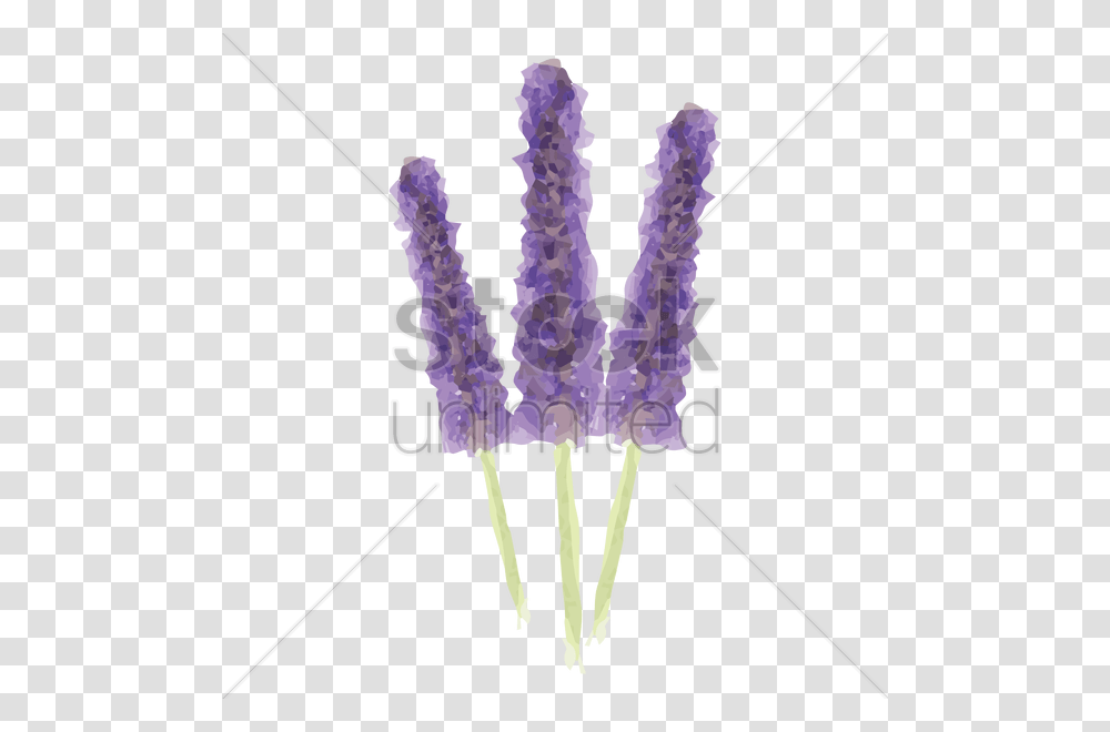 Lavender Flowers Vector Image, Chandelier, Lamp, Leisure Activities, Plant Transparent Png