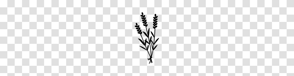 Lavender Icons Noun Project, Gray, World Of Warcraft Transparent Png