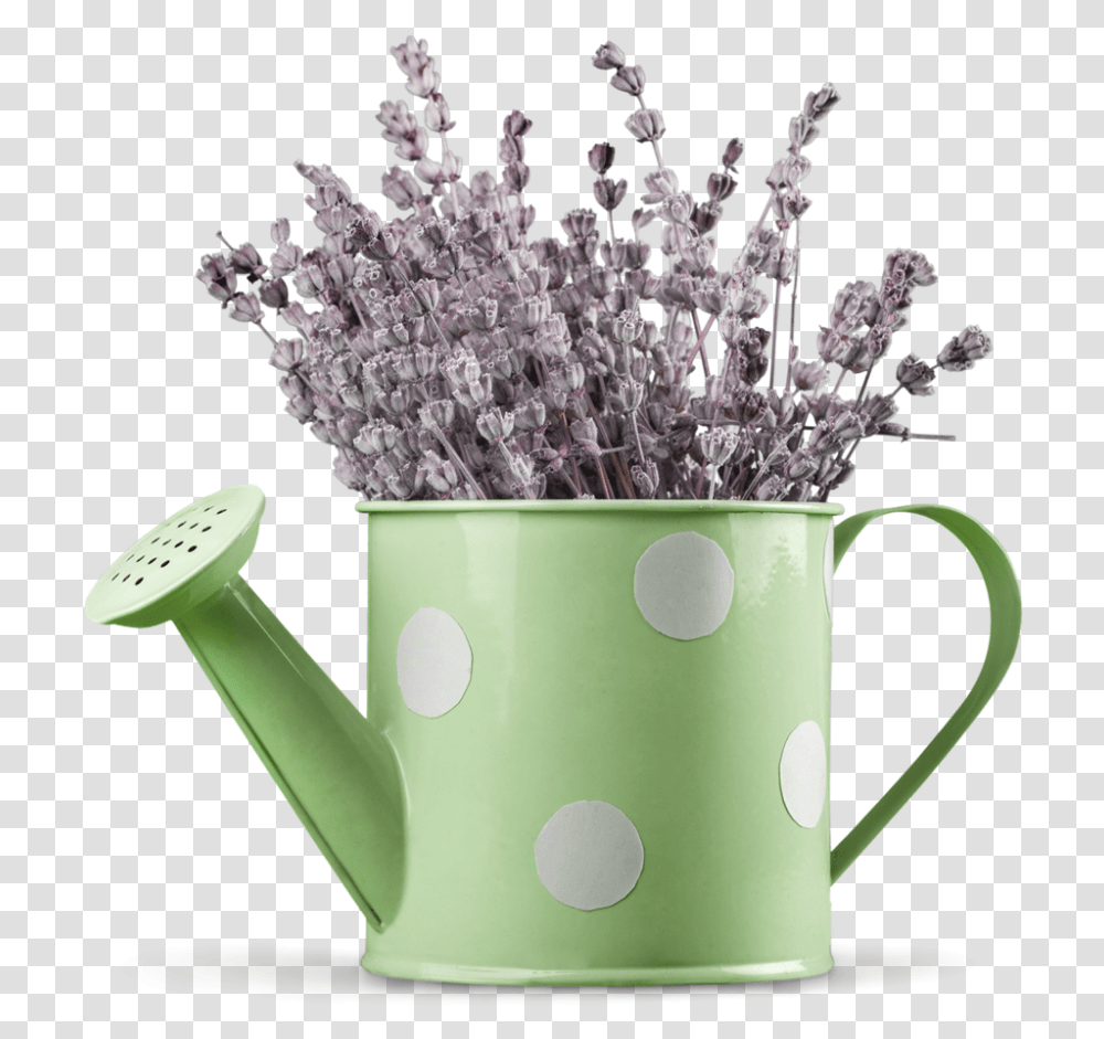 Lavender In Watering Can Lavaner In Watering Can, Tin, Plant, Flower, Blossom Transparent Png
