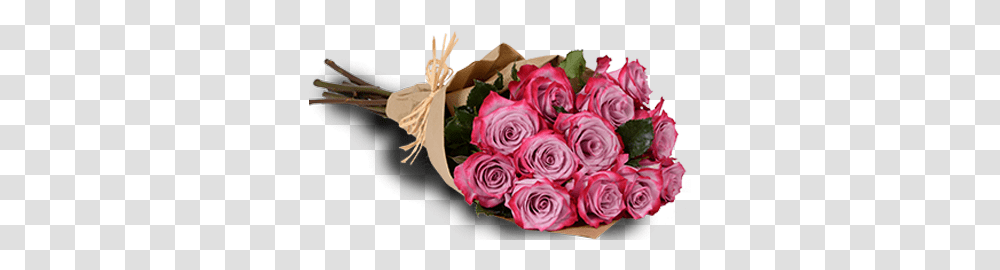 Lavender Passion One Dozen Dozen Of Purple Roses, Plant, Floral Design, Pattern, Graphics Transparent Png