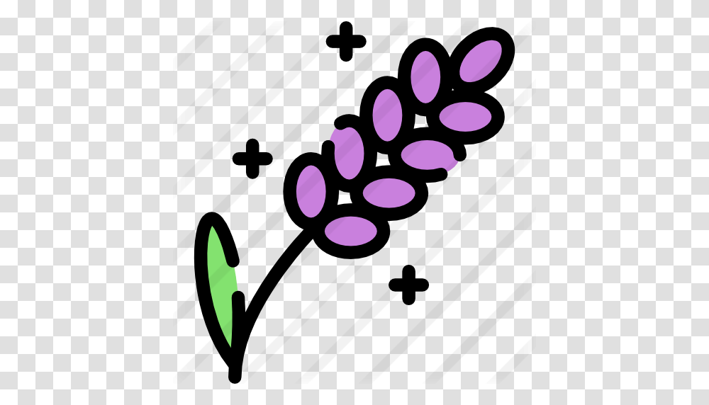 Lavender, Petal, Flower, Silhouette, Bottle Transparent Png