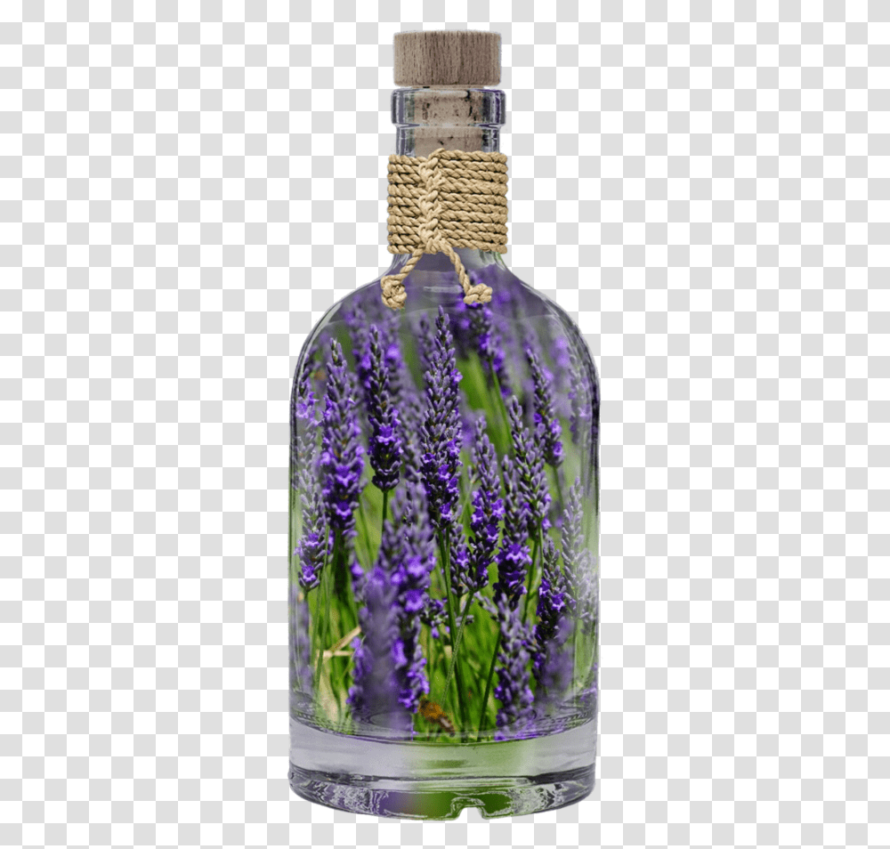 Lavender Plant Based Oils Using Lavender, Flower, Blossom, Purple, Iris Transparent Png
