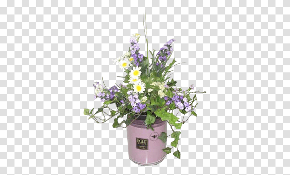 Lavender Plant, Flower, Flower Arrangement, Ikebana Transparent Png