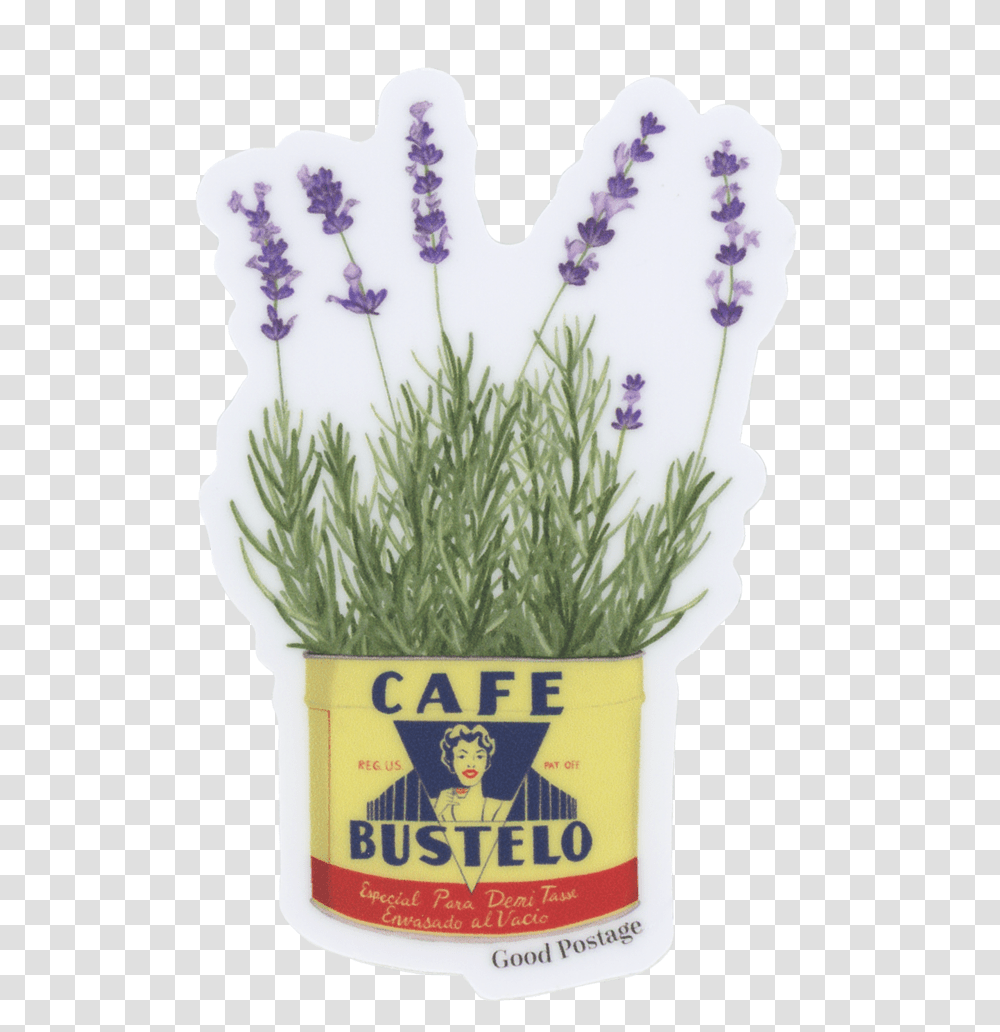 Lavender Plant, Food, Seasoning, Vegetable, Produce Transparent Png