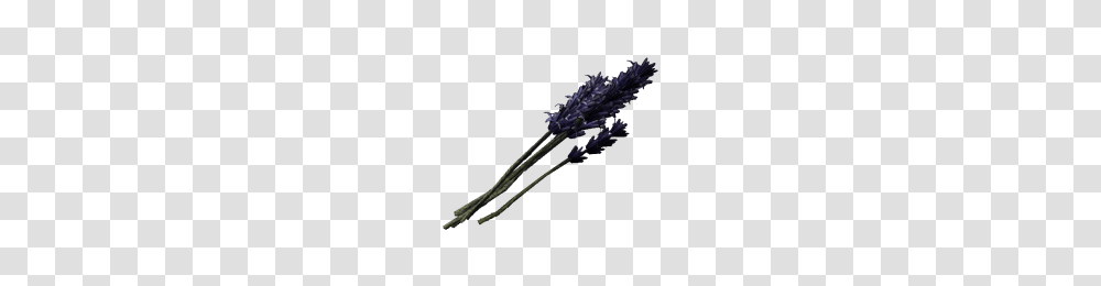 Lavender, Plant, Sword, Blade, Weapon Transparent Png