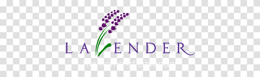 Lavender Products, Plant Transparent Png