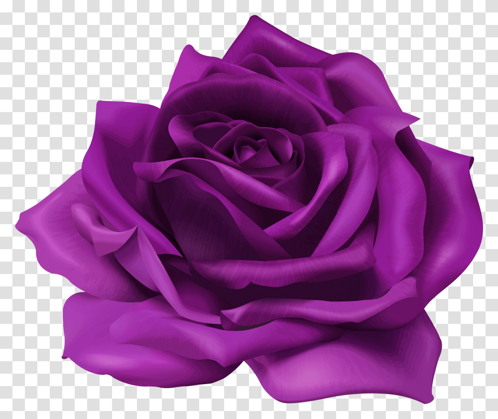 Lavender Purple Rose & Free Rosepng Purple Flower Transparent Png