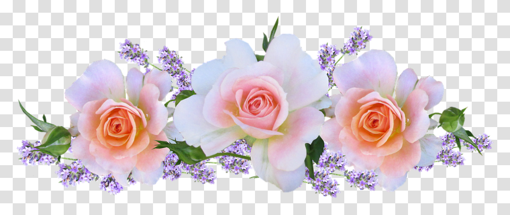 Lavender Roses Images Lavender With Roses Petals Hd, Plant, Flower, Blossom, Flower Bouquet Transparent Png